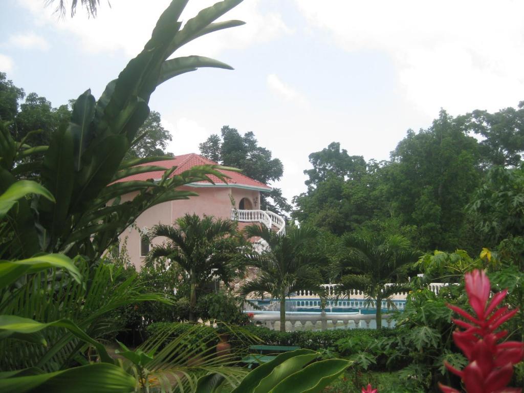 Lodge Banana Bank & Jungle Horseback Adventures