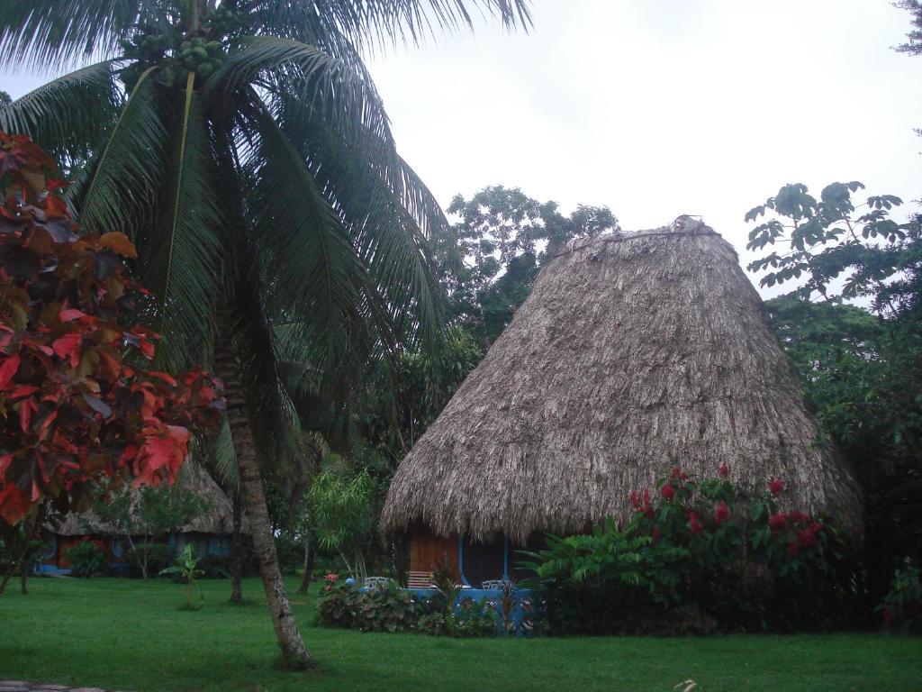 Lodge Banana Bank & Jungle Horseback Adventures *