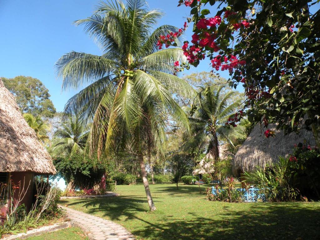 Banana Bank & Jungle Horseback Adventures Lodge *