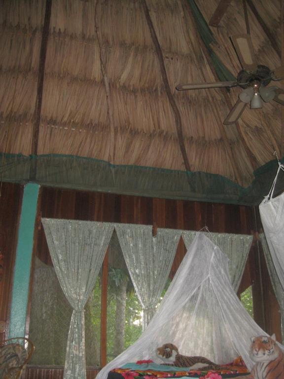 Banana Bank & Jungle Horseback Adventures Lodge