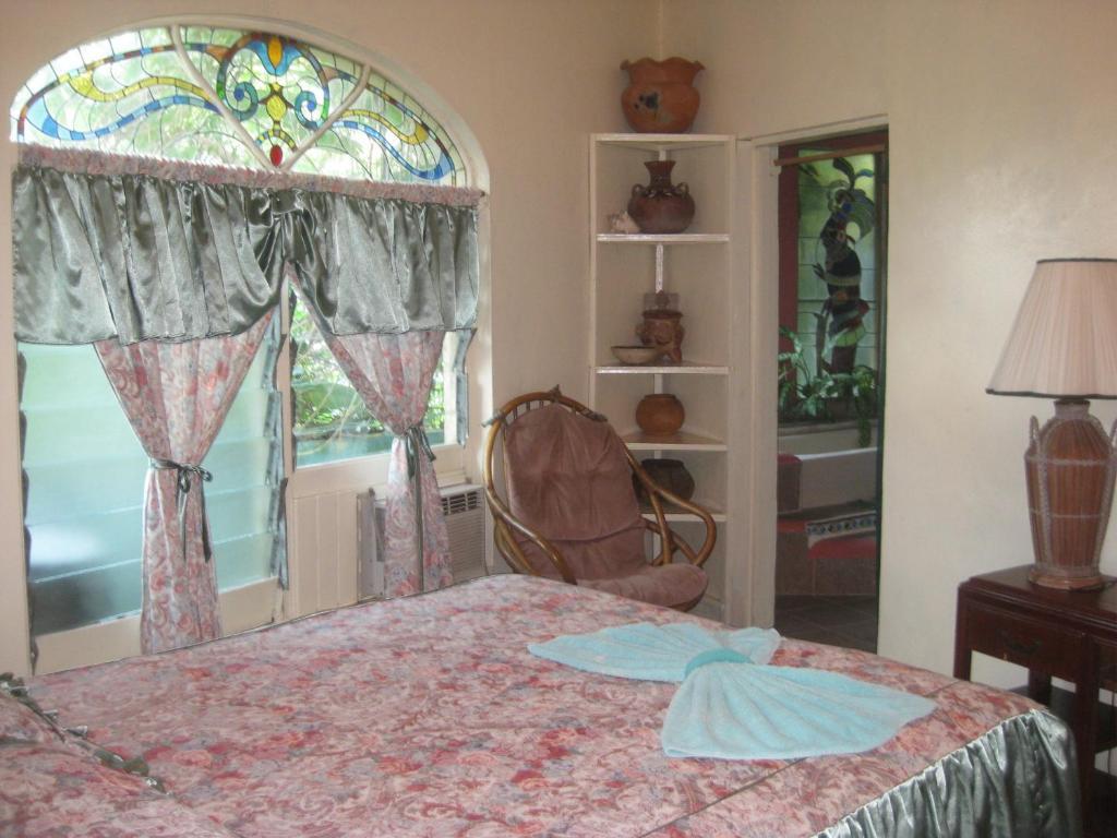 Banana Bank & Jungle Horseback Adventures Belmopan