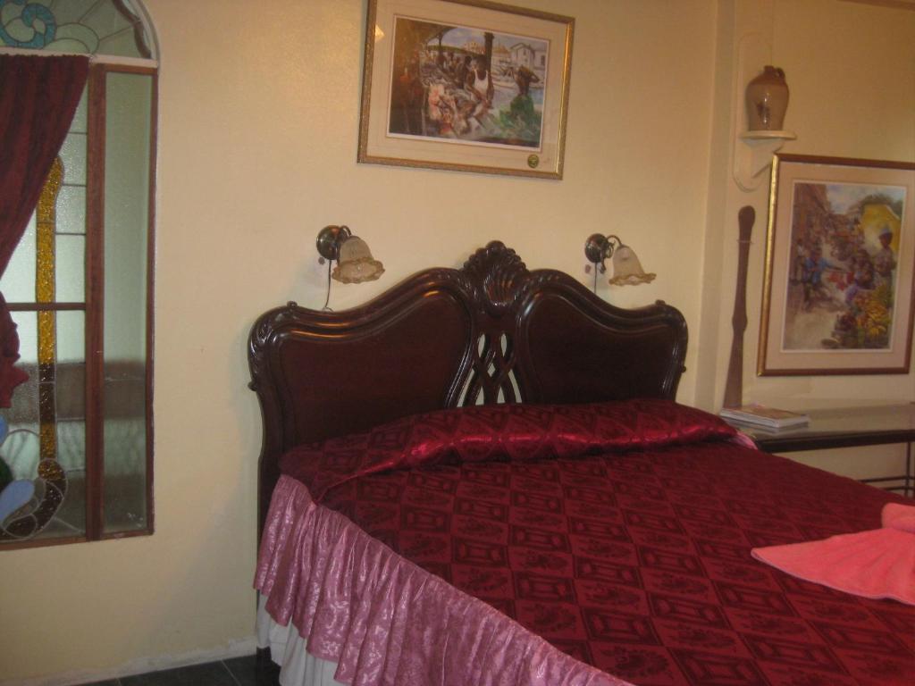 Lodge Banana Bank & Jungle Horseback Adventures Belmopan