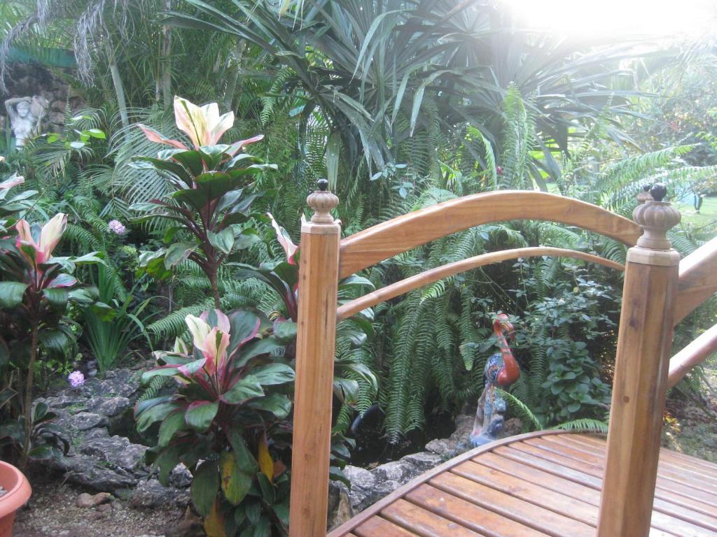 Banana Bank & Jungle Horseback Adventures *