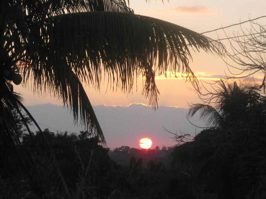 Banana Bank & Jungle Horseback Adventures *