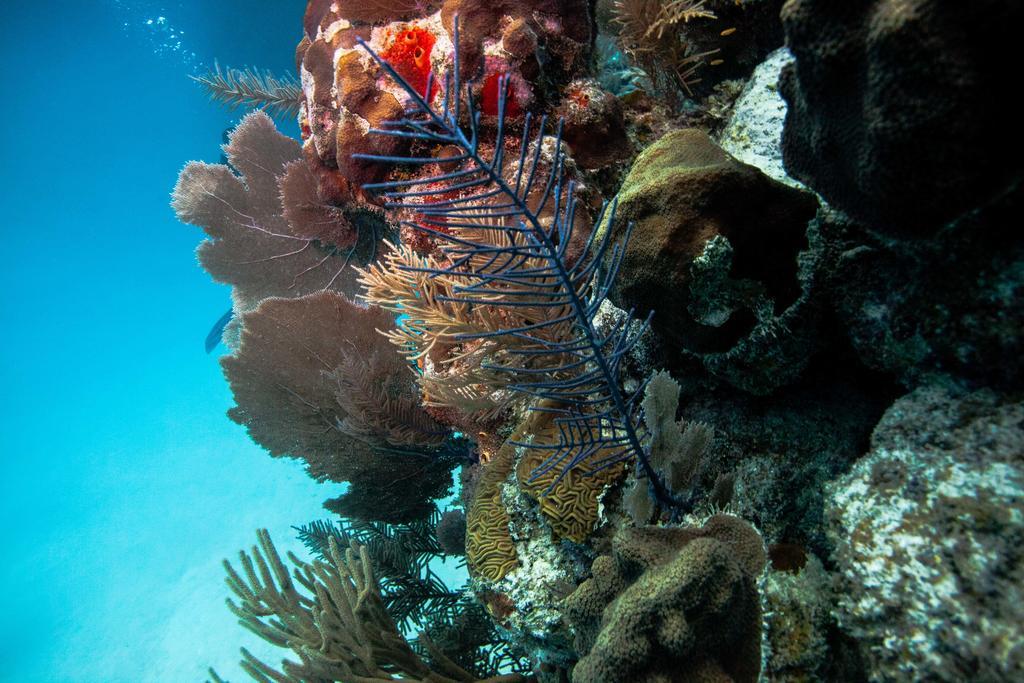 Hotel Costa Blu Resort, Trademark Collection By Wyndham (adults Only) 3*