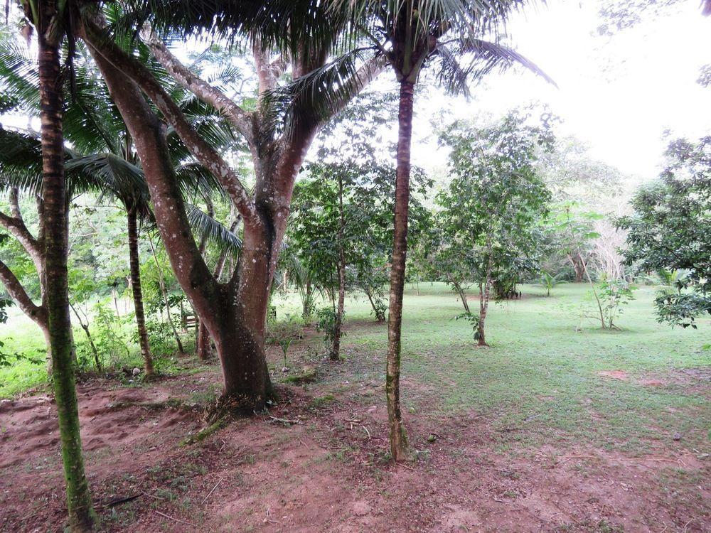 Resort Crystal Paradise San Ignacio