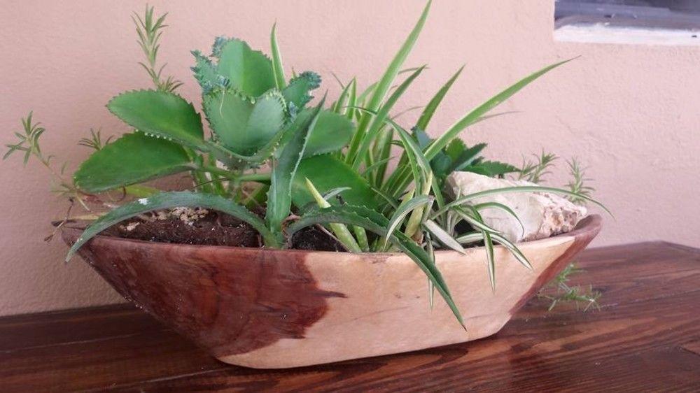 Hotel Changes In Latitudes San Pedro (Ambergris Caye)