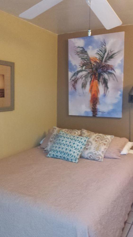 Changes In Latitudes San Pedro (Ambergris Caye)