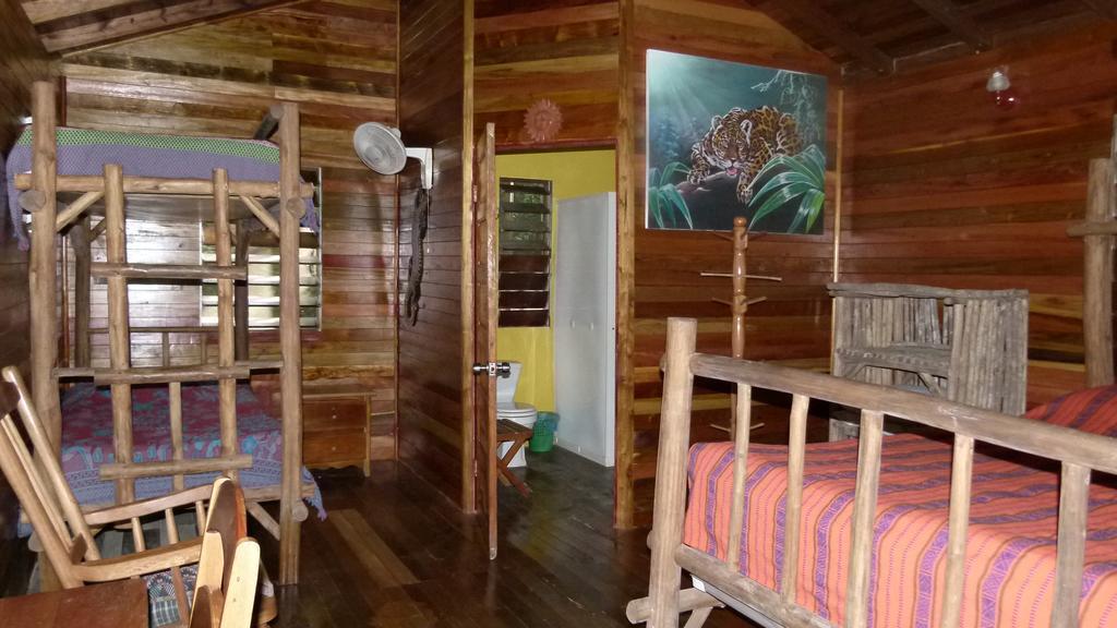 Lodge Macaw Bank Jungle