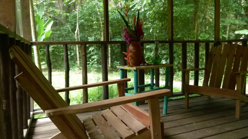 Lodge Macaw Bank Jungle *