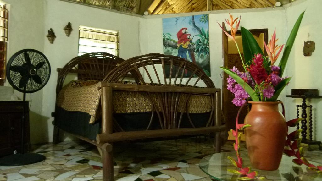 Lodge Macaw Bank Jungle