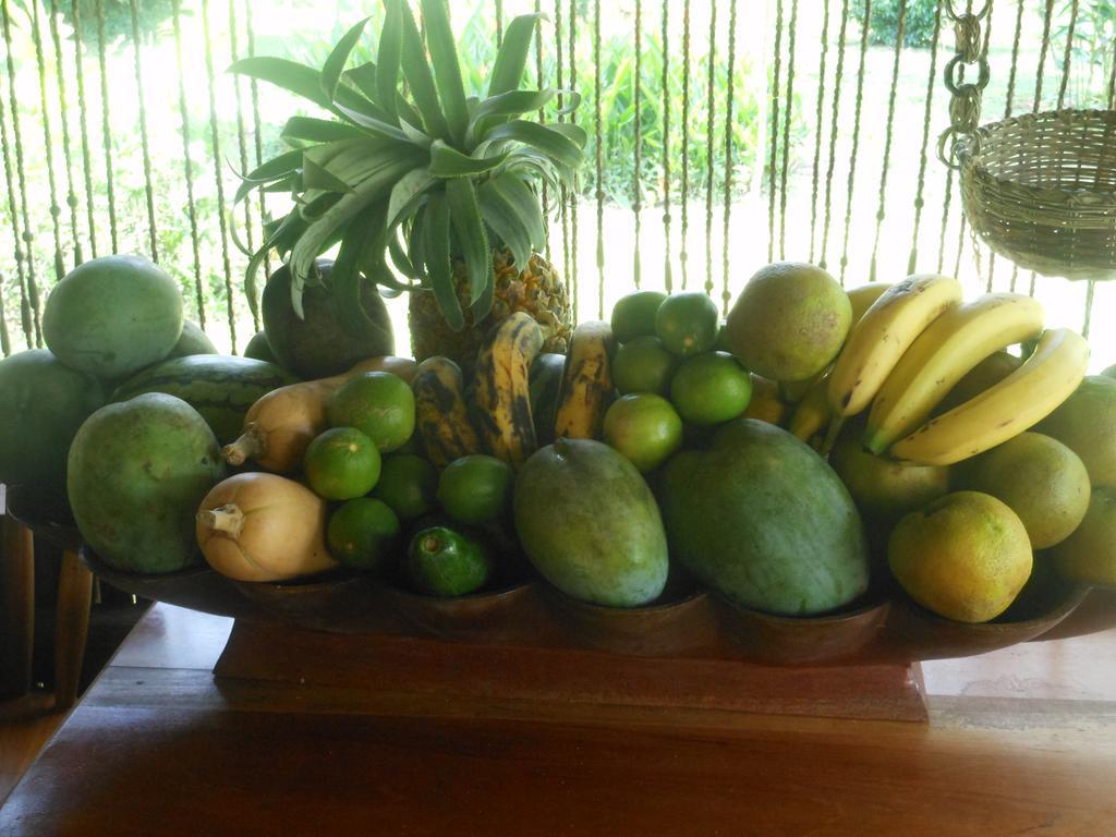 Lodge Macaw Bank Jungle *