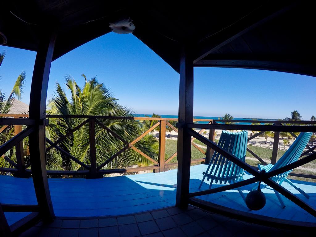 Colibri House Placencia