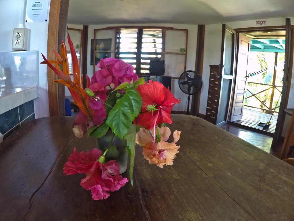 Colibri House *