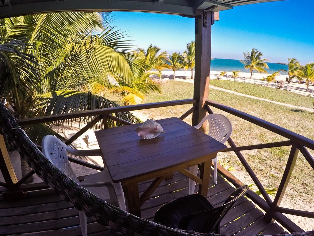 Colibri House Apartment