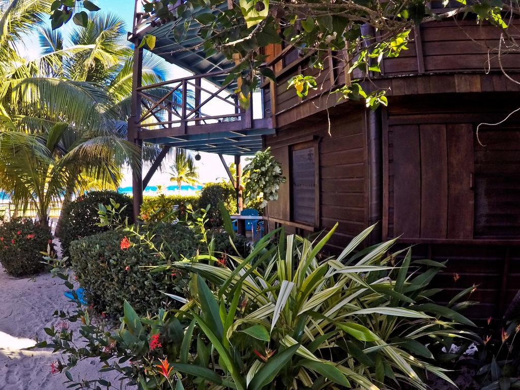 Colibri House Apartment Placencia