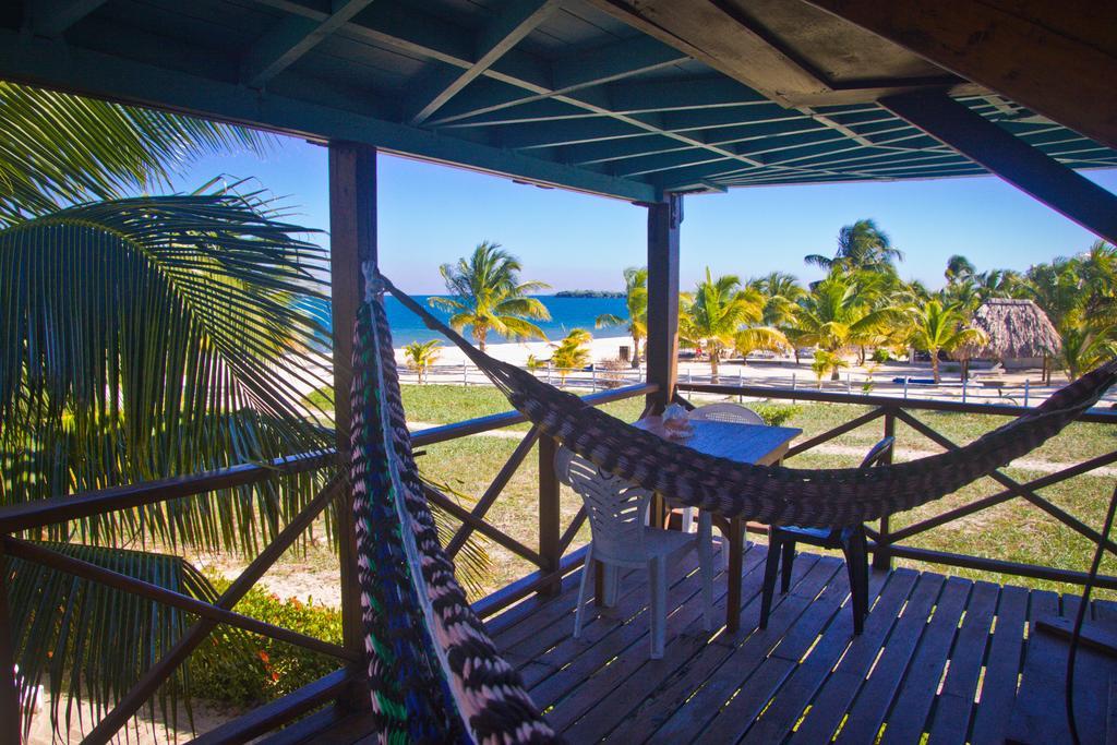 Colibri House