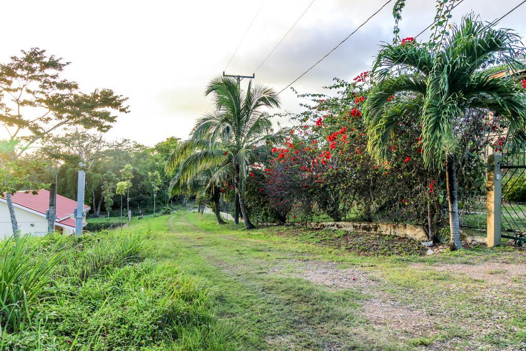 Maya Holiday home