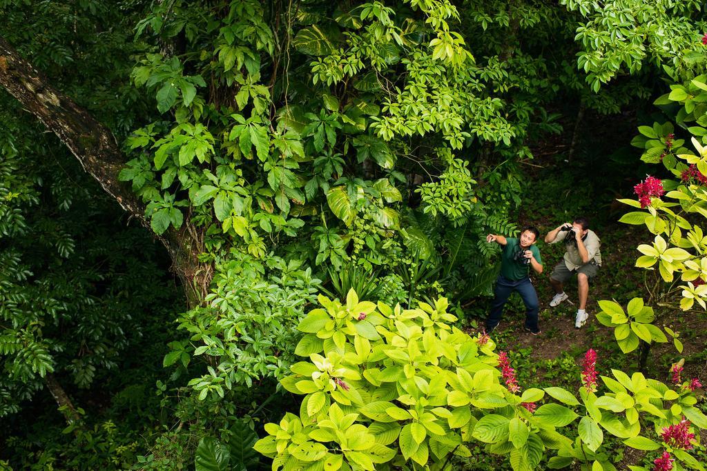 San Ignacio Resort Hotel Resort San Ignacio