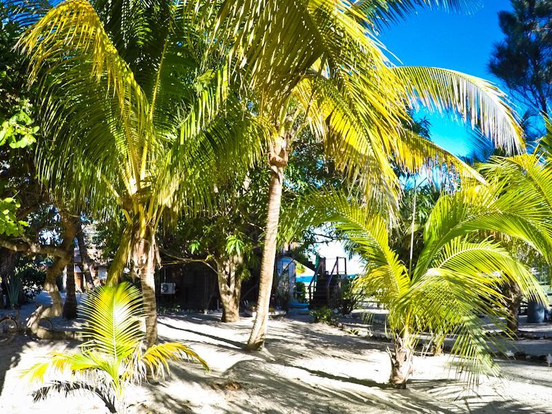 Apartment Colibri House Placencia