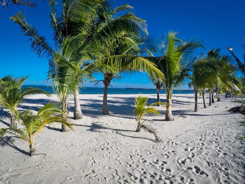Apartment Colibri House Placencia