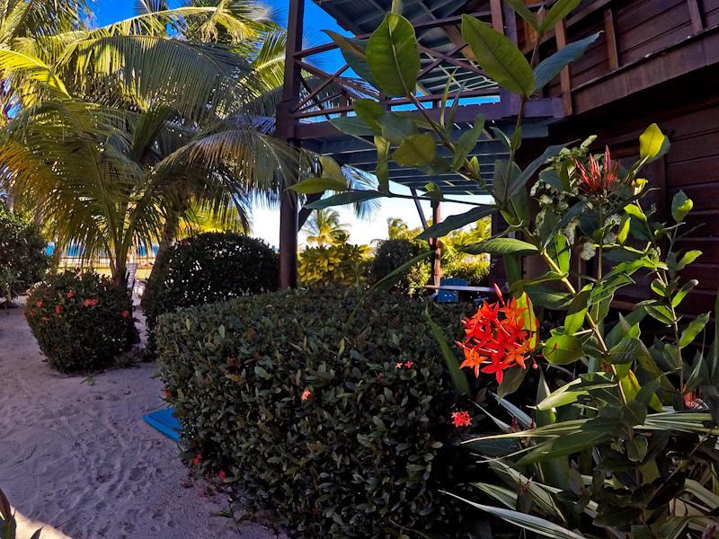 Colibri House Apartment *