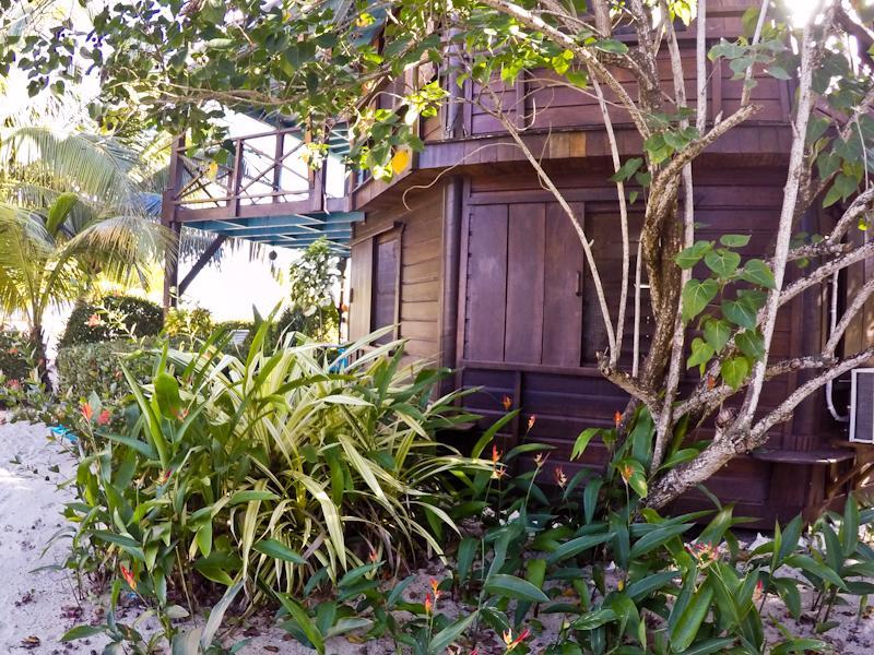 Apartment Colibri House