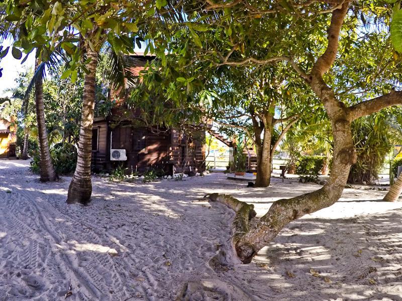 Colibri House Placencia