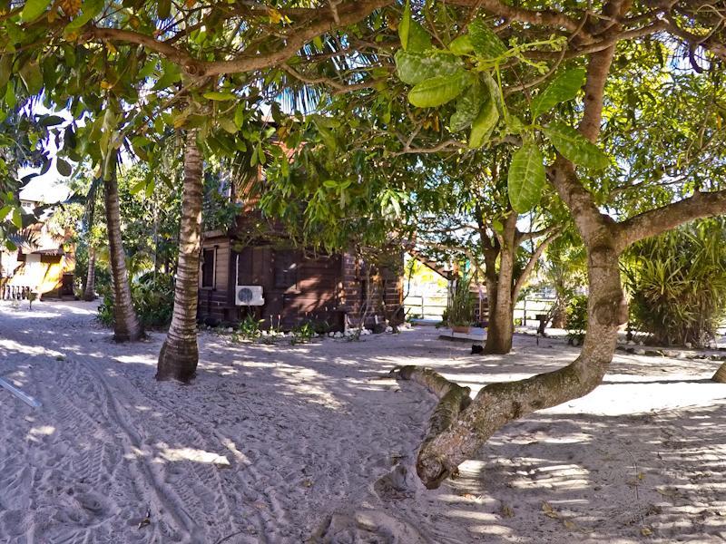 Colibri House Apartment