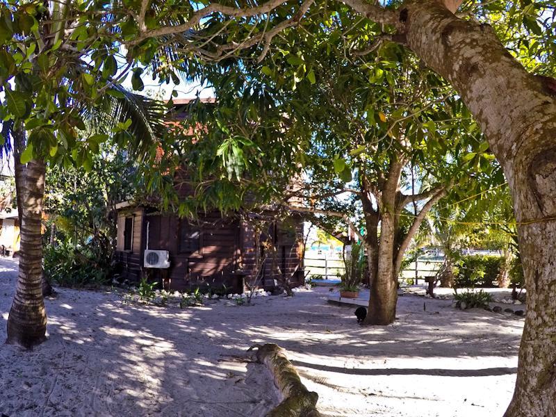 Colibri House *