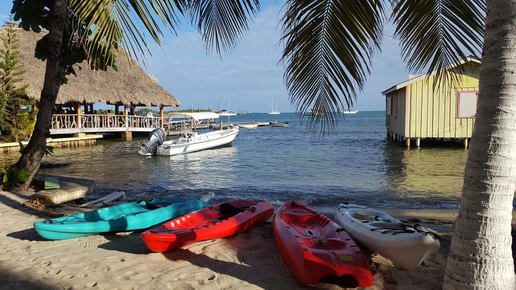 Hotel Alan's Paradise