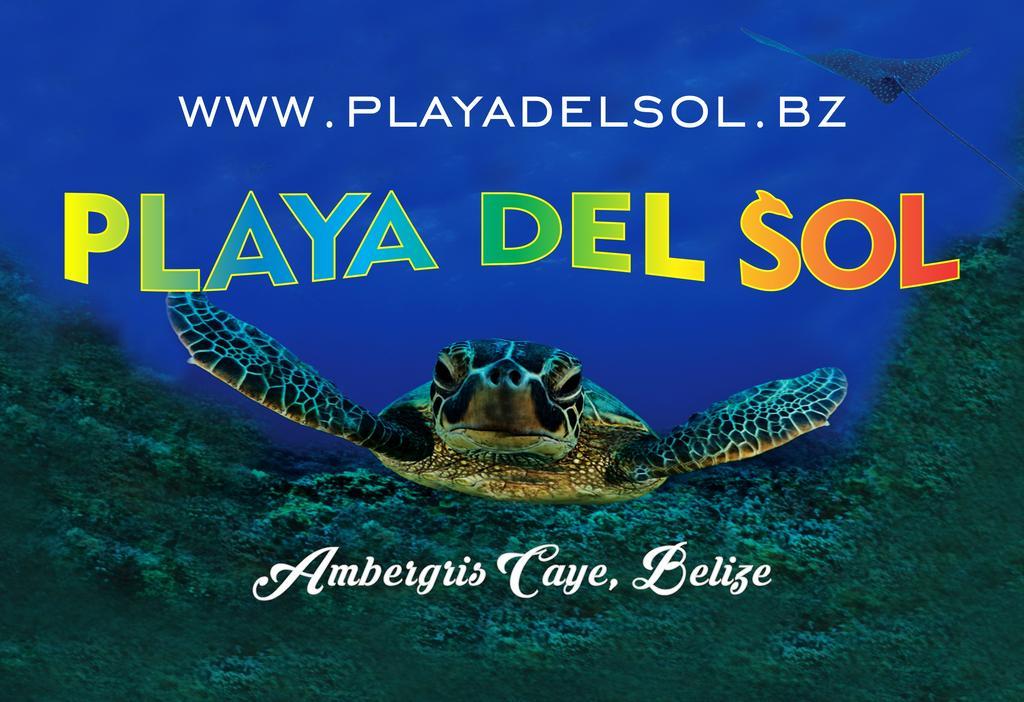 Playa Del Sol Resort 3*