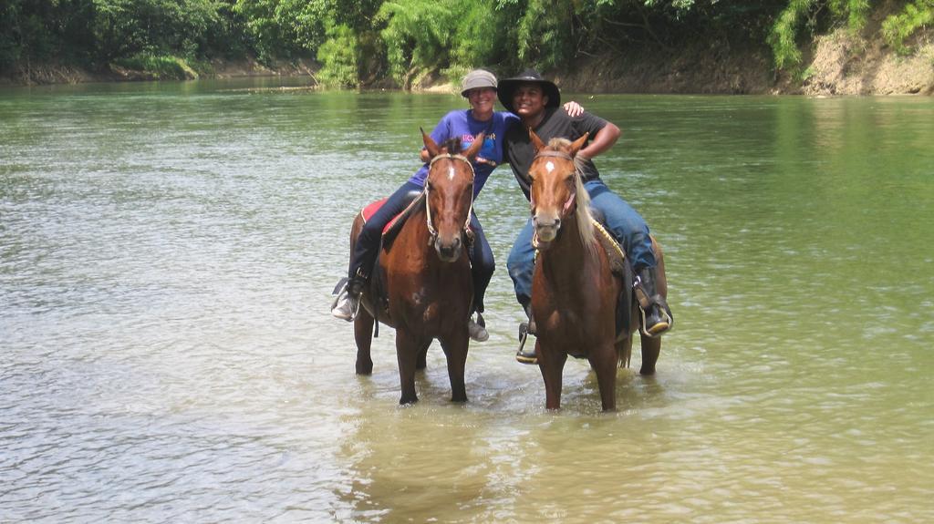 Banana Bank & Jungle Horseback Adventures Lodge *