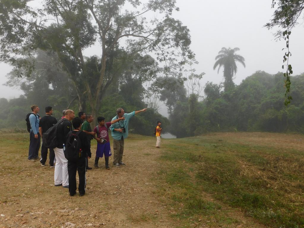 Banana Bank & Jungle Horseback Adventures