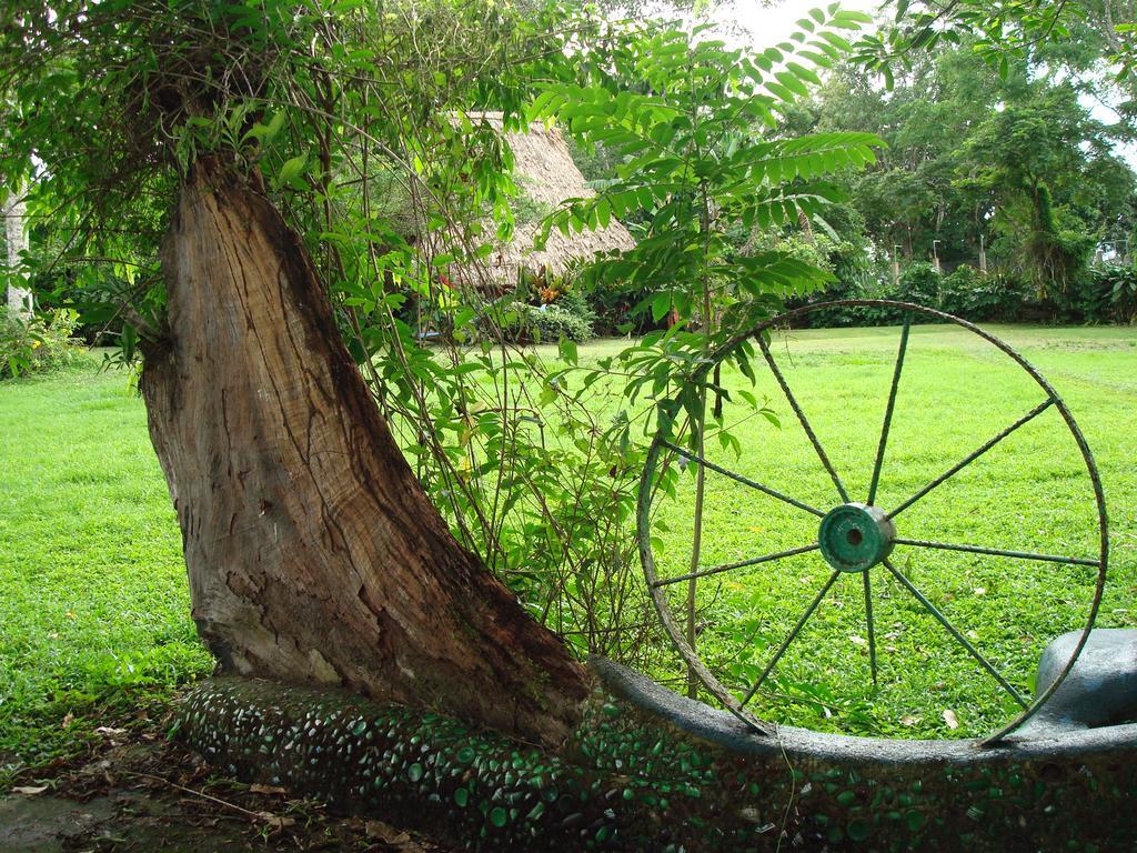 Banana Bank & Jungle Horseback Adventures Lodge *