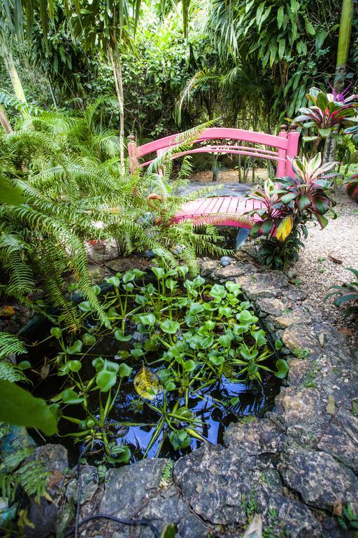 Banana Bank & Jungle Horseback Adventures