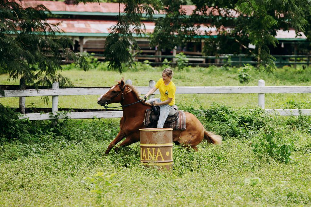 Banana Bank & Jungle Horseback Adventures