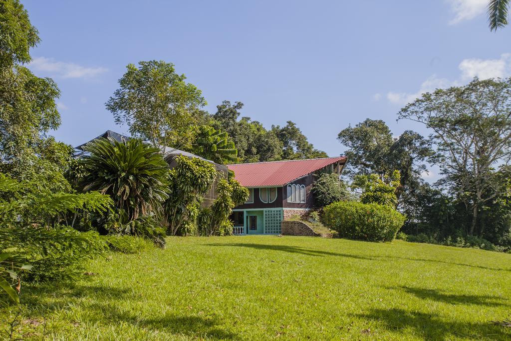 Lodge Banana Bank & Jungle Horseback Adventures Belmopan