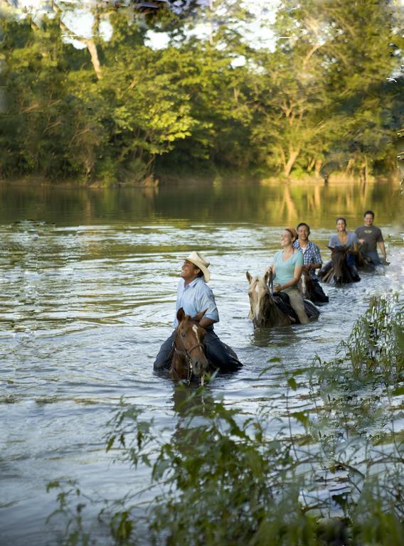 Banana Bank & Jungle Horseback Adventures Belmopan