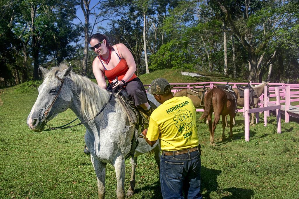 Banana Bank & Jungle Horseback Adventures *