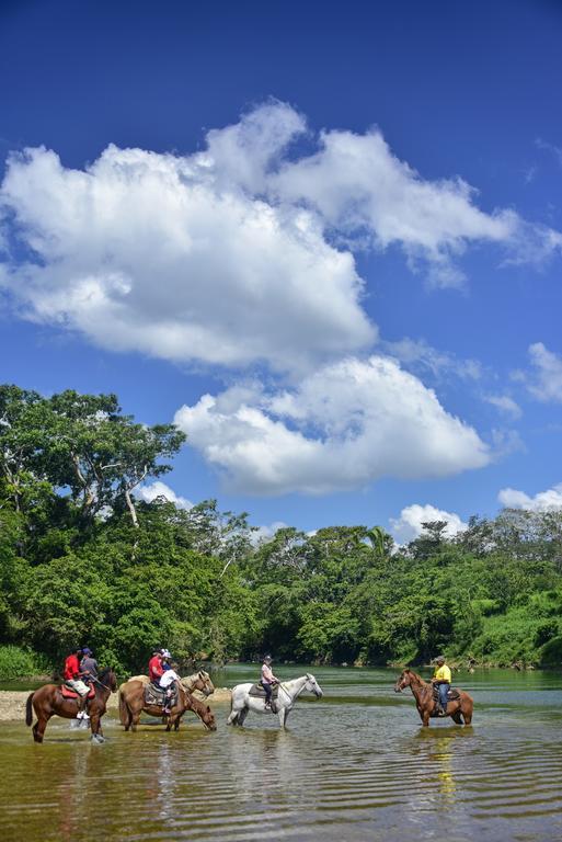 Banana Bank & Jungle Horseback Adventures