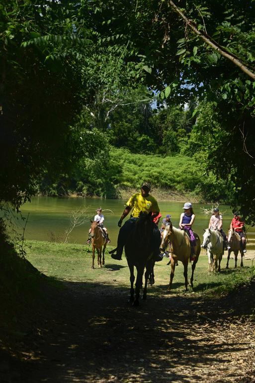 Banana Bank & Jungle Horseback Adventures