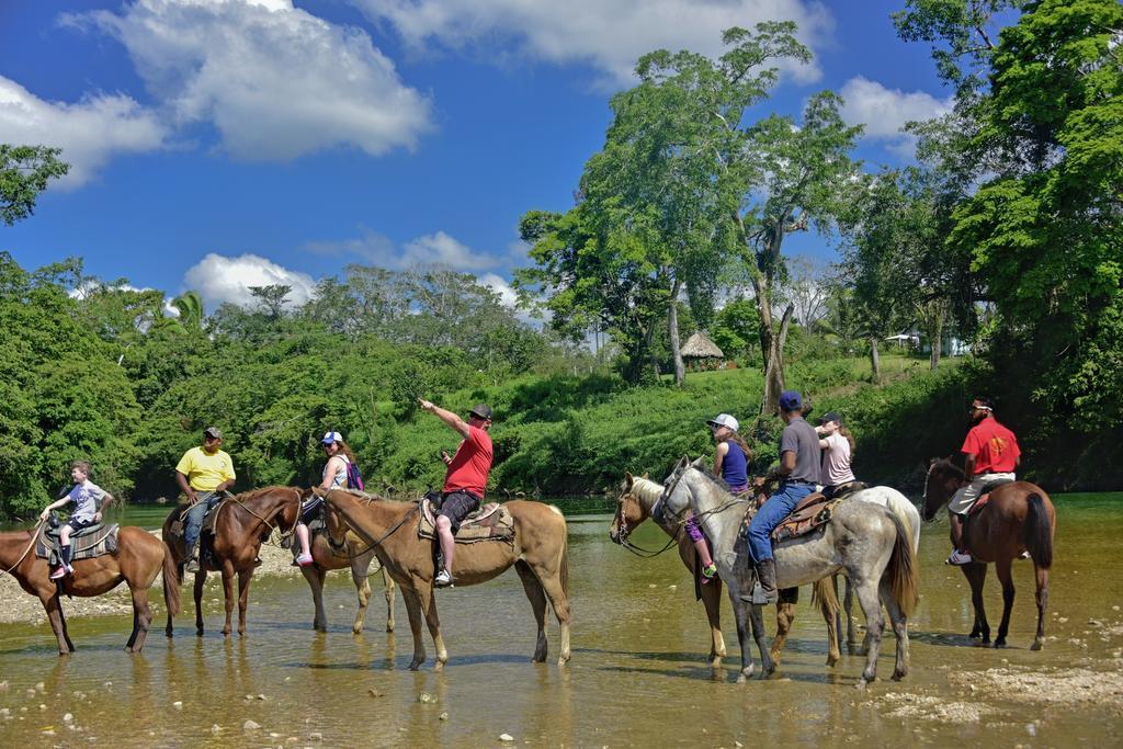 Banana Bank & Jungle Horseback Adventures Lodge *