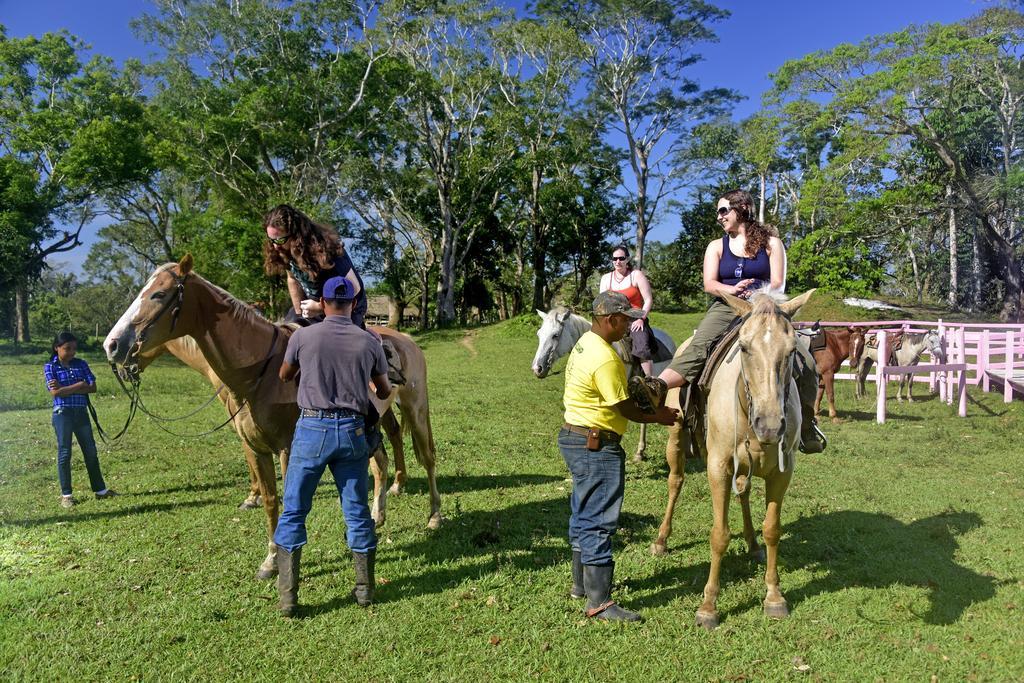Lodge Banana Bank & Jungle Horseback Adventures *
