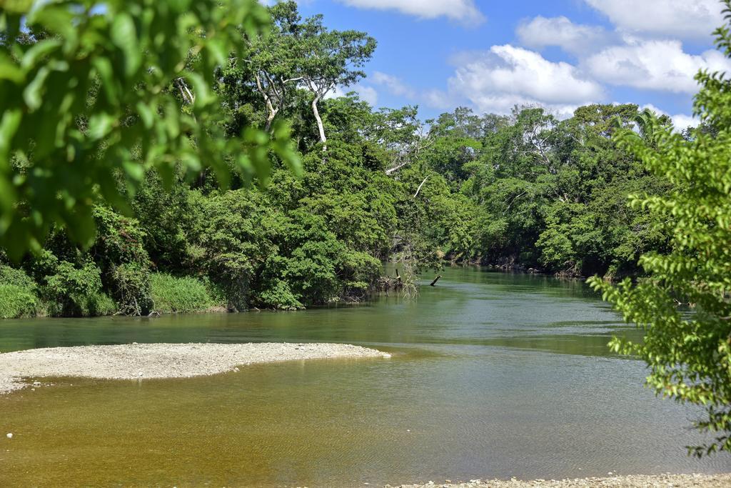 Lodge Banana Bank & Jungle Horseback Adventures *