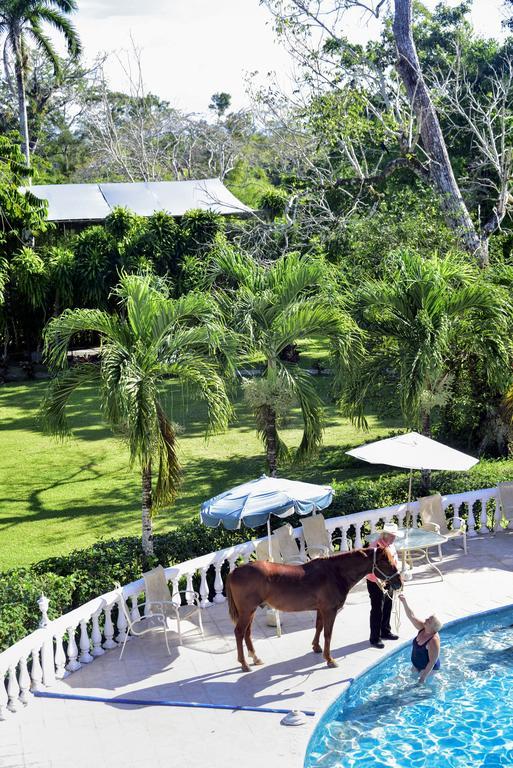 Banana Bank & Jungle Horseback Adventures Belmopan