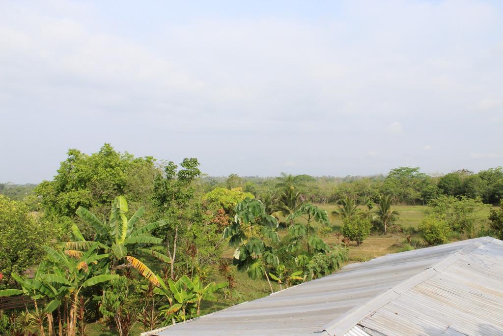 King Bed Hotel Belmopan