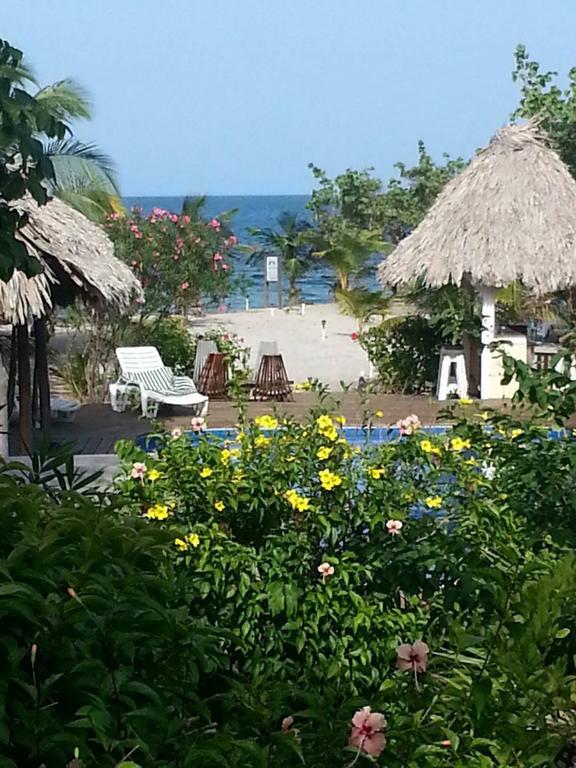 Miller's Landing * Placencia