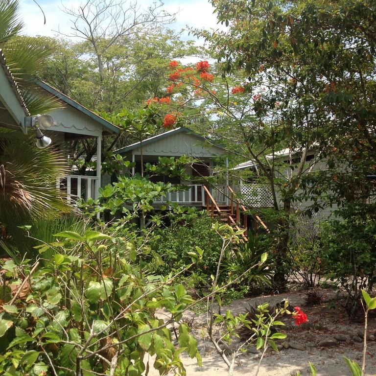 Lodge Miller's Landing Placencia