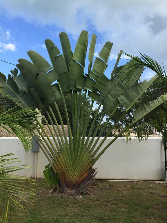 Holiday home Royale Manor Corozal